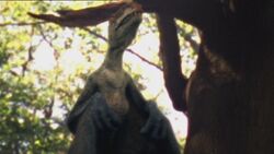 1x5 AnurognathusDansUnArbre