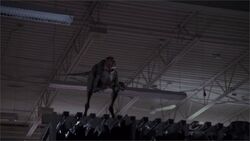 Daemonosaurus