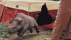 Episode3x9Embolotherium82