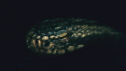 1x4Python2