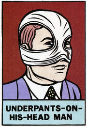Afbeeldingsresultaat voor underpants on head