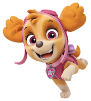 Skye 2019 stock art