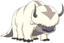 Appa-0