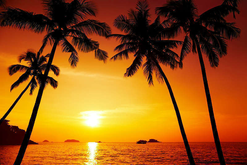 Bild - Sonnenuntergang-palmen-strand.jpg | Nickelodeon Wiki | FANDOM ... Strand sonnenuntergang palmen
Strand sonnenuntergang palmen
Bild - Sonnenuntergang-palmen-strand.jpg | Nickelodeon Wiki | FANDOM ...
