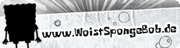 WIS Logo