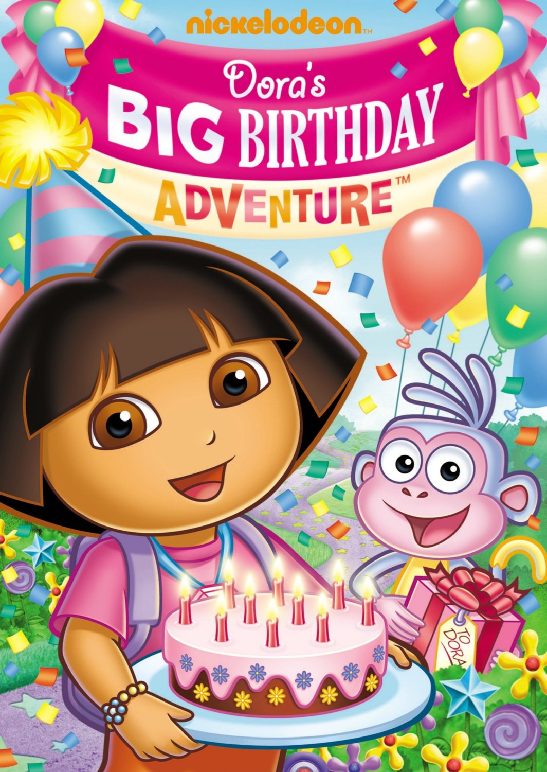 Image Dora The Explorer Doras Big Birthday Adventure DVDjpg Image Dora The Explorer Doras Big Birthday Adventure DVDjpg