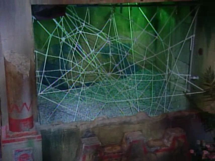 The Spider's Lair | Nickelodeon | FANDOM powered by Wikia