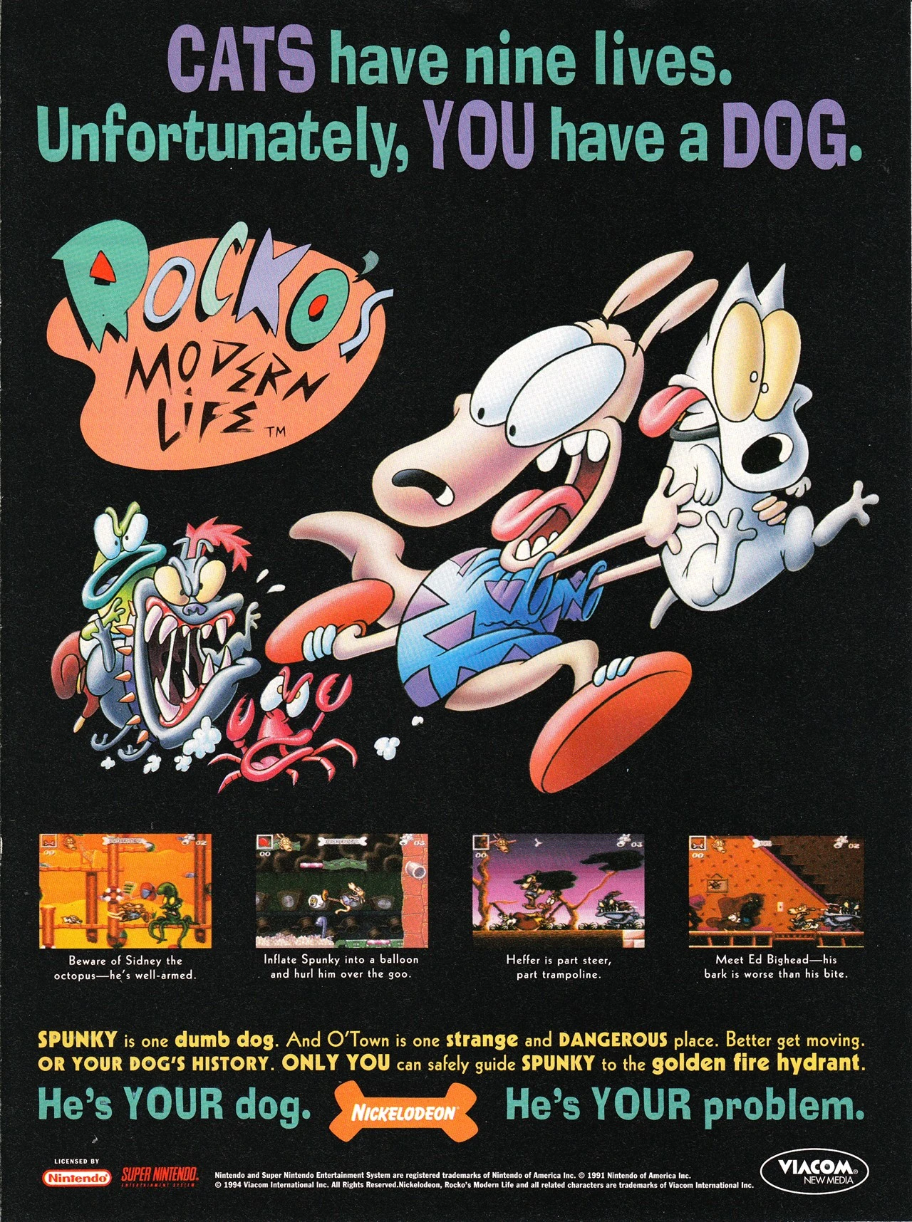 Rocko's Modern Life Spunky's Dangerous Day Nickelodeon