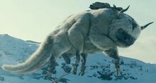 Appa-1