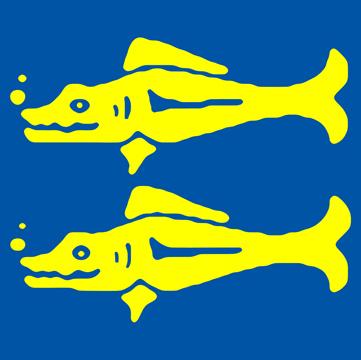 blue barracudas nickelodeon fandom