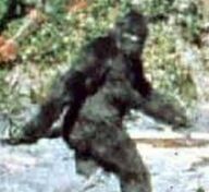 Bigfoot