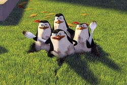 Madagascar-1
