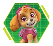 List of PAW Patrol characters | Nick Jr. Wiki | Fandom