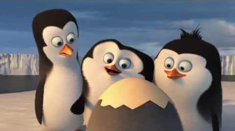 Los Pingüinos De Madagascar Película