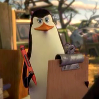 Pinguinosdemadagascar Instagram Posts Gramho Com