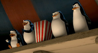 M3 penguins at circus with popcorn