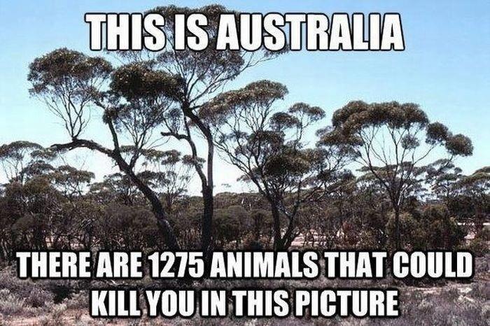 image australia is scary