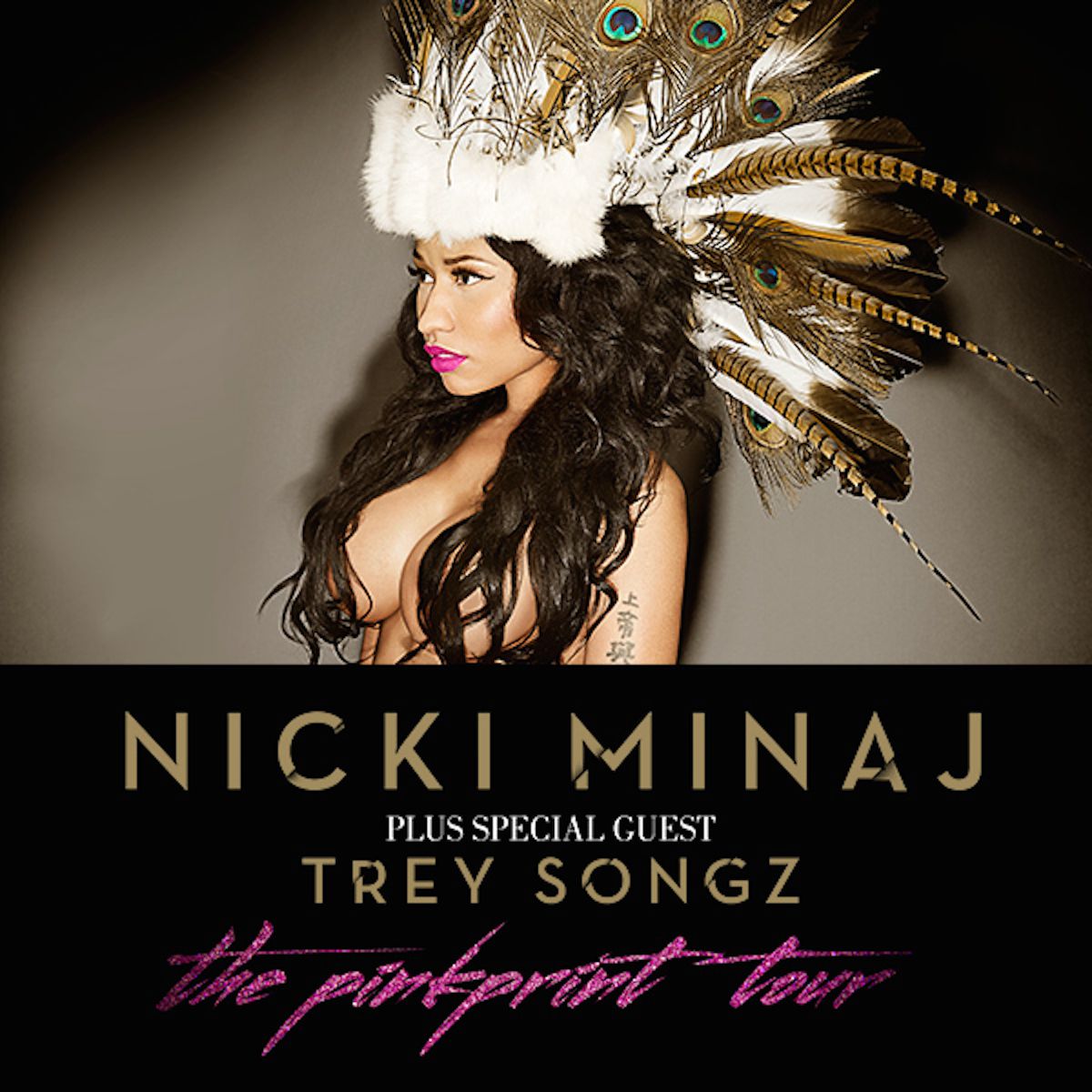 the pinkprint world tour