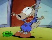 Rocko