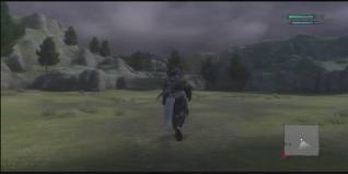 NieRSouthernPlains