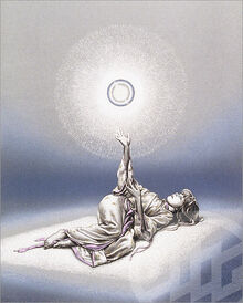 Introspection