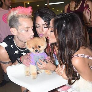 Beautycon Niki And Gabi Wiki Fandom