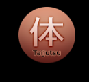 Taijutsu (2)