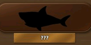 180px-Shark