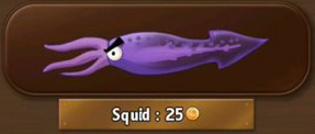 Squid