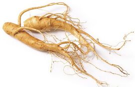 Ginseng-testosterone-nitric-oxide-and-erection-benefits