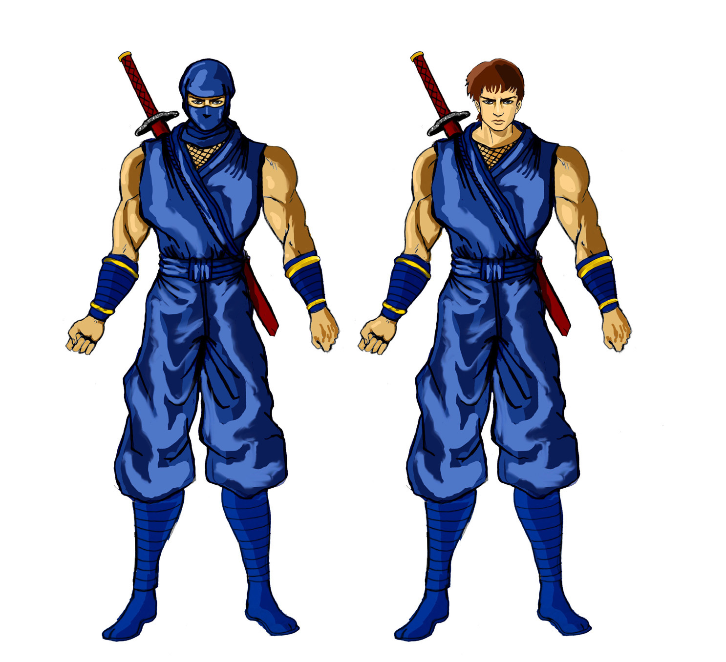 Ninja Gaiden II The Dark Sword of Chaos Ninja Gaiden Wiki FANDOM