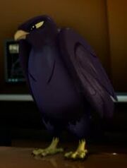 Falcon
