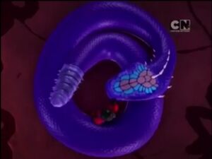 Unknown snake