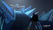 Confronting Zane
