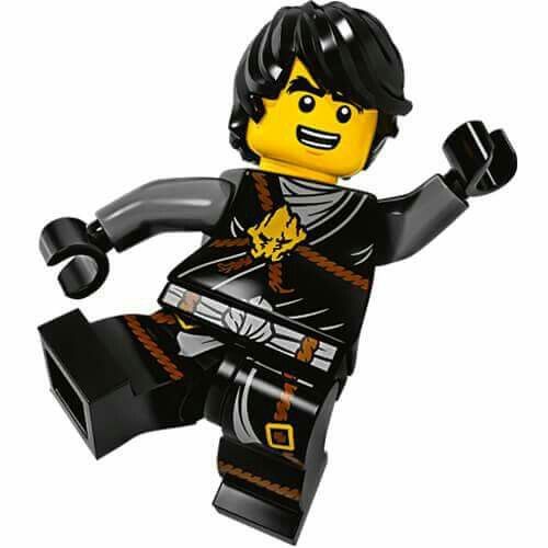 Image result for ninjago cole