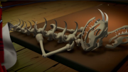 180px-Fangpyre bone fitst veiw