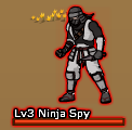 Ninja Spy