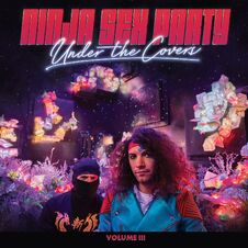 Image result for nsp under the covers vol. 3 songs