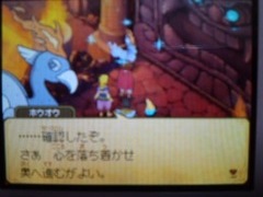 Cave of trials houou NDS