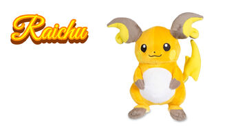 pokemon center raichu