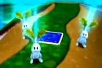 StarBunnies