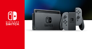 NINTENDO SWITCH ニンテンドースイッチ