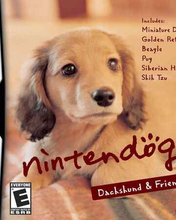Nintendogs Dachshund Friends Nintendo Fandom