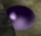 Bitter Drop