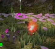 Nectar Weed
