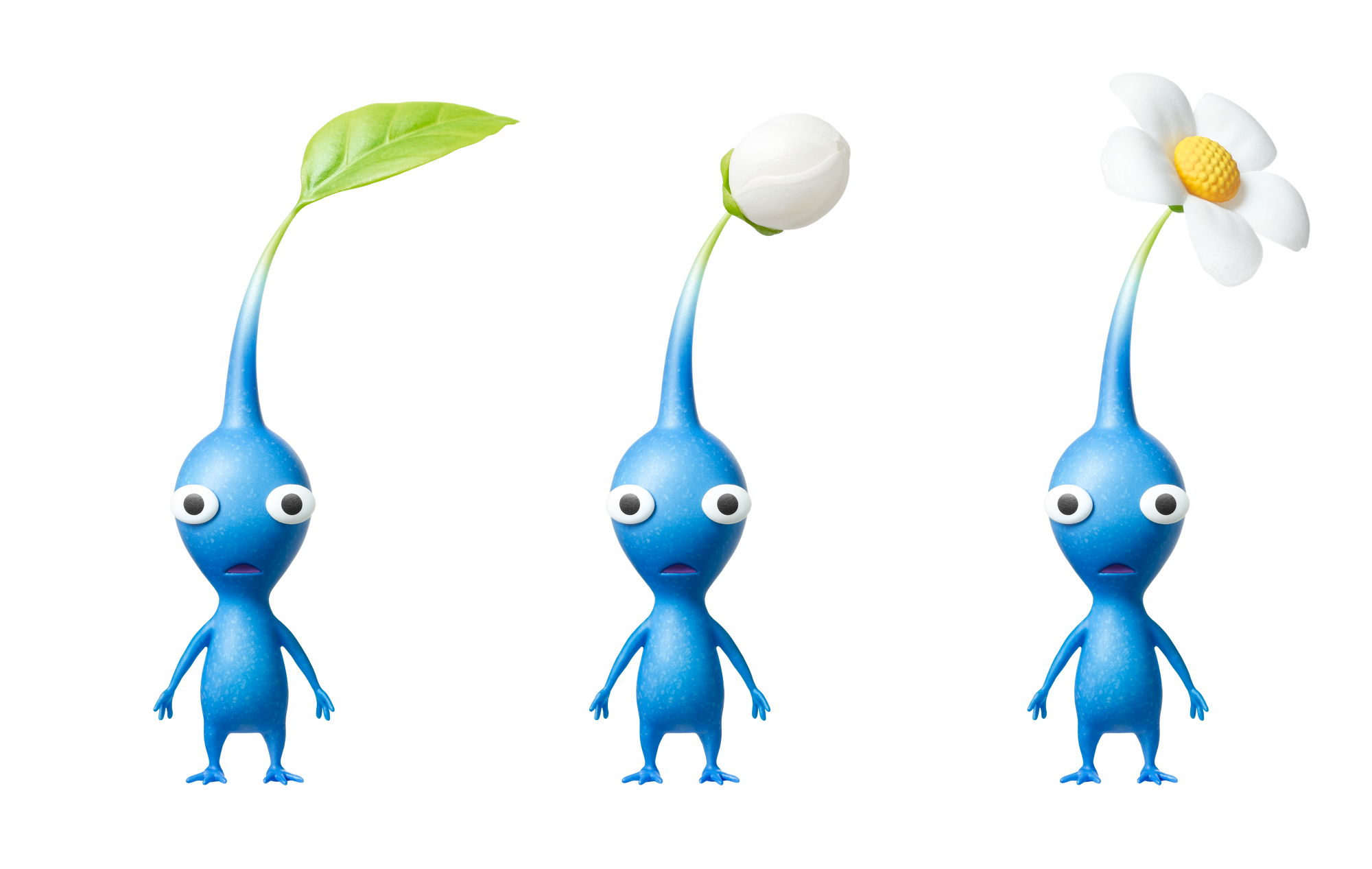 three blue pikmin stare at you
