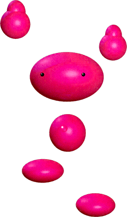 Sukapon