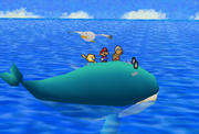 Whale PM