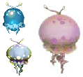 Jellyfloat Family