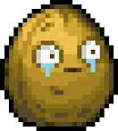 Wall -Nut DS